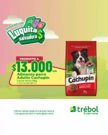 Catálogo Supermercado El Trébol Página 10