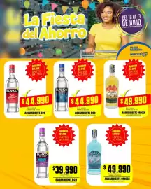 Catálogo Mercapava Página 10