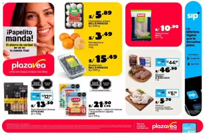Catálogo Plaza Vea Página 1