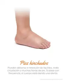 Catálogo Doctor Pie Página 3