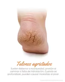 Catálogo Doctor Pie Página 4