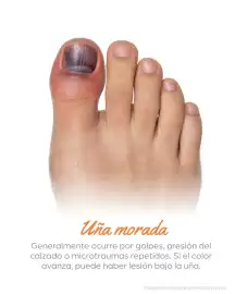 Catálogo Doctor Pie Página 7