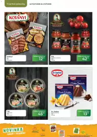 Tamda Foods leták týden 29 Strana 42