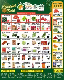 Mega Sanjha Punjab Grocery Store flyer week 28 Page 1