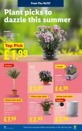 Lidl leaflet week 29 Page 22