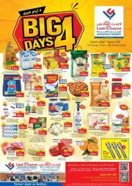 Last Chance flyer Page 1