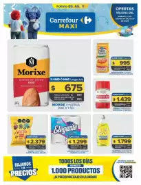 Folleto Carrefour Maxi semana 28 Página 1