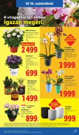 Lidl akciós újság hét 29 Oldal 29