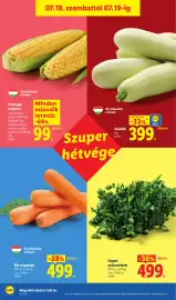 Lidl akciós újság hét 29 Oldal 58