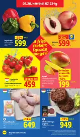Lidl akciós újság hét 29 Oldal 74