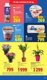 Lidl akciós újság hét 29 Oldal 77