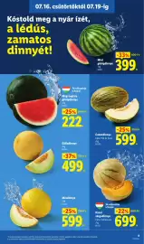 Lidl akciós újság hét 29 Oldal 9