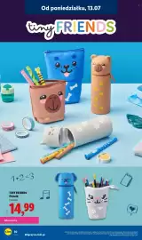 Lidl gazetka Strona 10