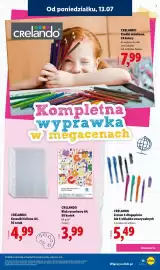 Lidl gazetka Strona 13