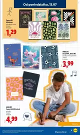 Lidl gazetka Strona 17