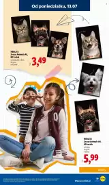 Lidl gazetka Strona 19