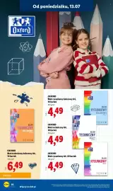 Lidl gazetka Strona 22