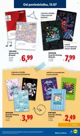 Lidl gazetka Strona 25