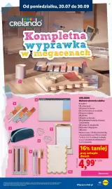 Lidl gazetka Strona 43