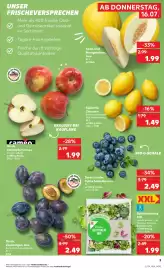 Kaufland DE folder week 29 Pagina 3