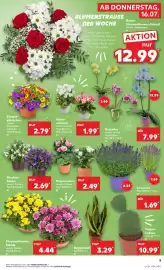Kaufland DE folder week 29 Pagina 5