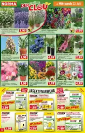 Norma Prospekt woche 30 Seite 12