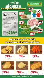 Folleto Bodega Aurrerá semana 28 Página 1