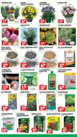 Wreesmann Prospekt Seite 3