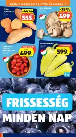 ALDI akciós újság hét 29 Oldal 10