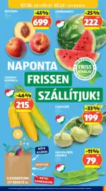 ALDI akciós újság hét 29 Oldal 21