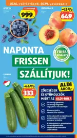 ALDI akciós újság hét 29 Oldal 9