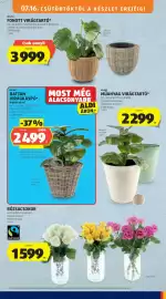 ALDI akciós újság hét 29 Oldal 11