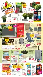 Wiglo Wunderland Prospekt woche 29 Seite 1