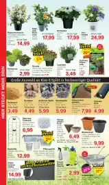 Wiglo Wunderland Prospekt woche 29 Seite 8