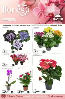 Folheto Master Supermercados (válido até 15-07)
