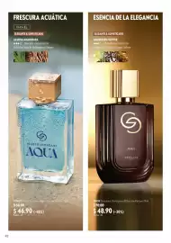 Catálogo Oriflame Página 42