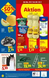 Lidl Flugblatt woche 29 Seite 30