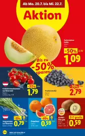 Lidl Flugblatt woche 29 Seite 39
