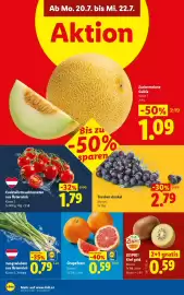 Lidl Flugblatt woche 29 Seite 39