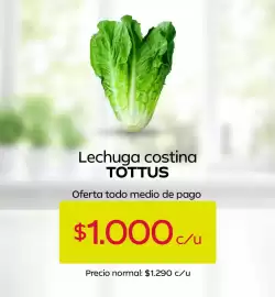 Catálogo Tottus Página 4