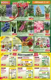 Norma Prospekt woche 30 Seite 14