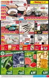 Norma Prospekt woche 30 Seite 5