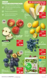 Kaufland Prospekt Seite 20