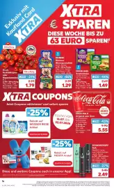 Kaufland Prospekt Seite 33