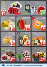 Edeka Prospekt Seite 8