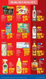 Lidl Prospekt Seite 19