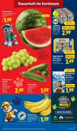 Lidl Prospekt Seite 3