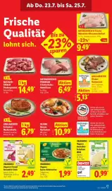 Lidl Prospekt Seite 53