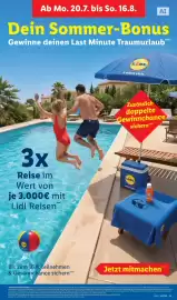 Lidl Prospekt Seite 69