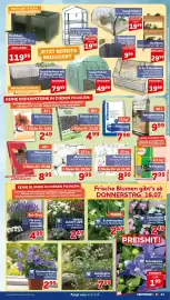 CENTERSHOP Prospekt woche 29 Seite 13
